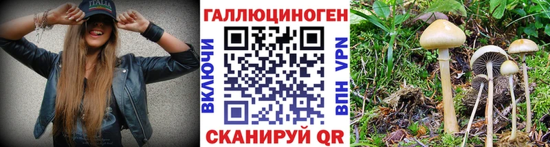 hydra сайт  как найти закладки  Зерноград  Псилоцибиновые грибы мицелий 